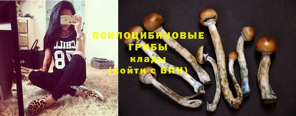 ECSTASY Баксан