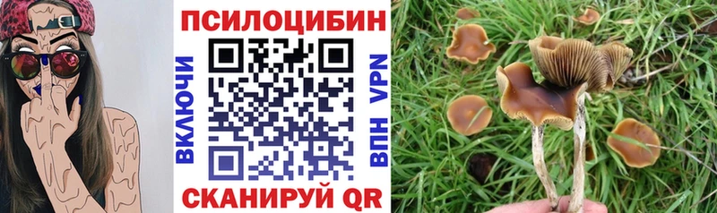 Псилоцибиновые грибы Psilocybine cubensis  darknet наркотические препараты  Красный Кут 